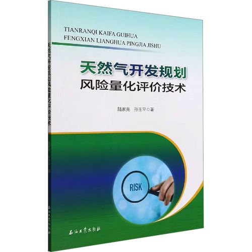 天然氣開發(fā)規(guī)劃風險量化評價技術(shù) 陸家亮,孫玉平 著 工業(yè)技術(shù)其它專業(yè)