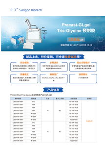 生工生物技術交流 把握Tris預制膠促銷，提升生命科學研究效率