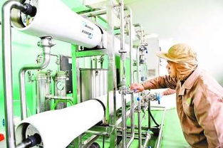 科技驅(qū)動(dòng)循環(huán)經(jīng)濟(jì) 香港金綠源生物科技的創(chuàng)新之路